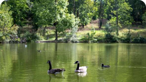 parc-mairie